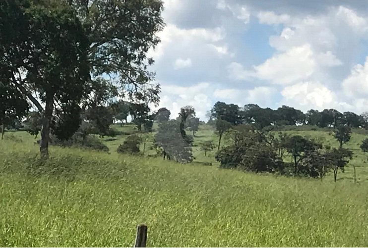 ÁREA DE 60,5799 HA | DENOMINADO FAZENDA SANTA BÁRBARA | AUGUSTO DE LIMA/MG — Imagem