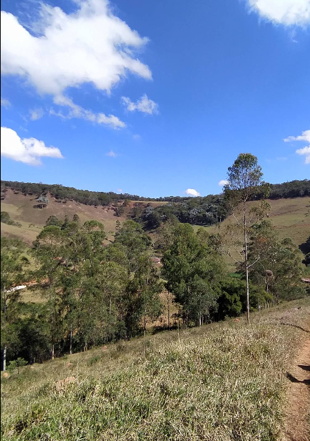 TERRENO RURAL | ÁREA 24,30,14 | SITIO SÃO DOMINGOS | SÃO TIAGO/MG -Possibilidade de Parcelamento